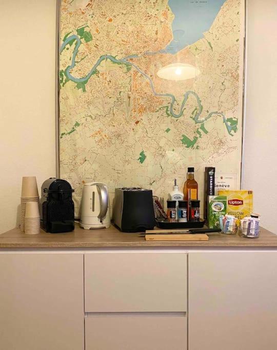 Central & Relaxed Apartment Geneva Bagian luar foto